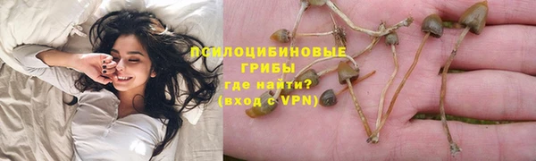 винт Новозыбков