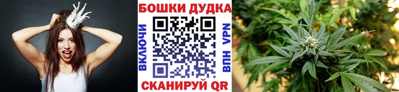 МАРИХУАНА план  гидра рабочий сайт  Шагонар 